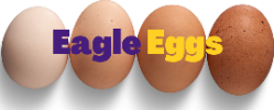 Eagle Eggs Newsletter, Updated November 27